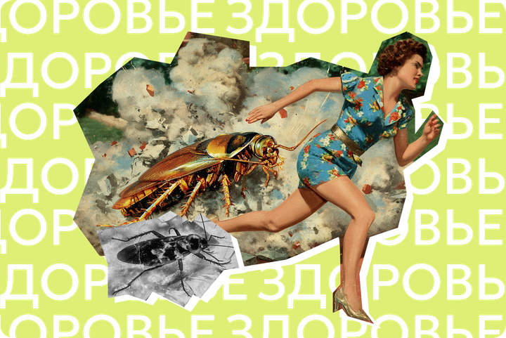 Мухи отдельно, слоны отдельно. Почему не стоит искать психологические травмы там, где их нет